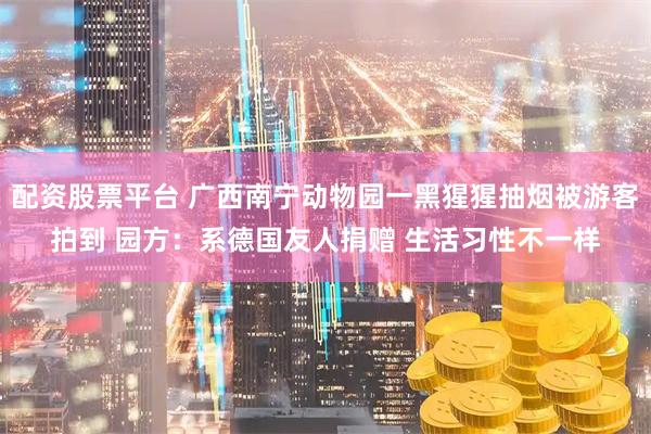配资股票平台 广西南宁动物园一黑猩猩抽烟被游客拍到 园方：系德国友人捐赠 生活习性不一样