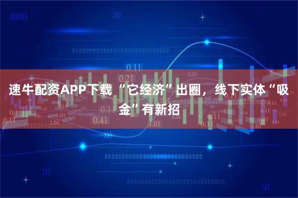 速牛配资APP下载 “它经济”出圈，线下实体“吸金”有新招