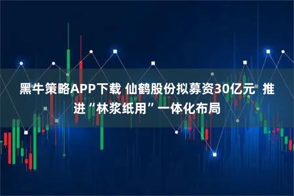 黑牛策略APP下载 仙鹤股份拟募资30亿元  推进“林浆纸用”一体化布局