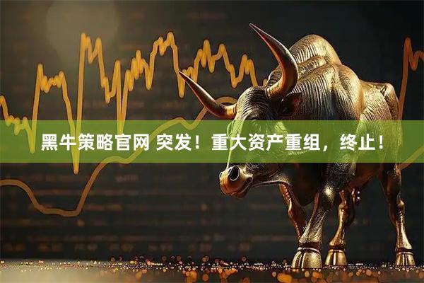 黑牛策略官网 突发！重大资产重组，终止！