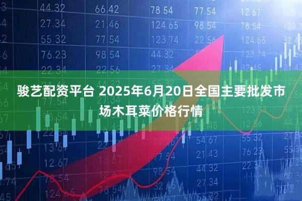 骏艺配资平台 2025年6月20日全国主要批发市场木耳菜价格行情