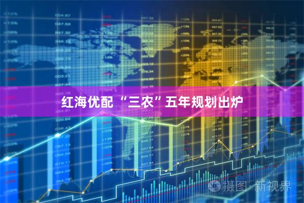 红海优配 “三农”五年规划出炉